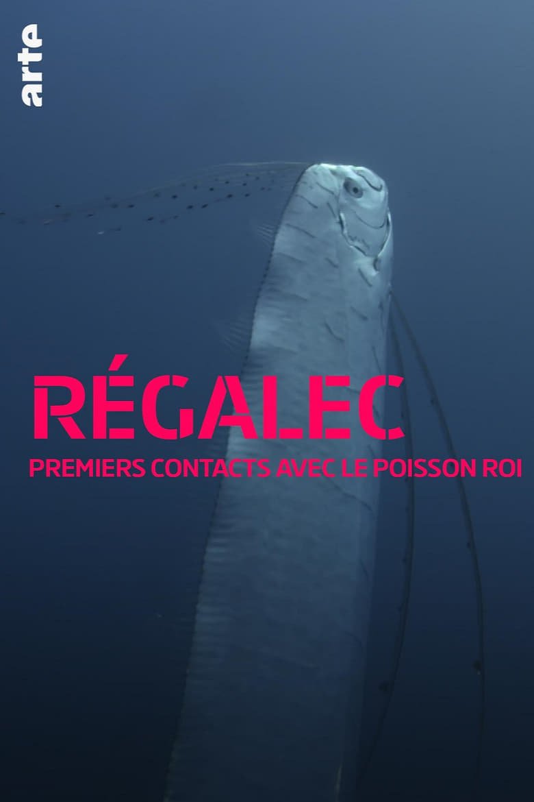 plakát Film Obrovský mořský had