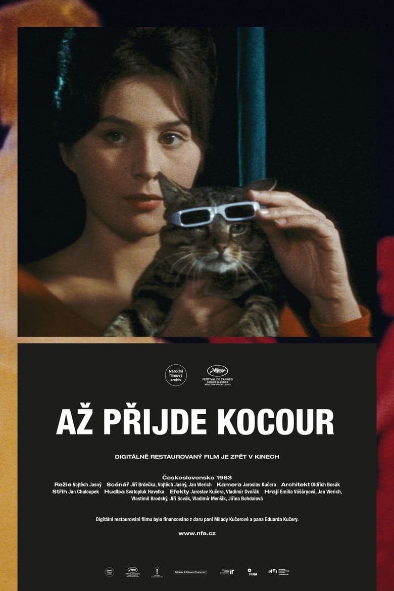 Plakát pro film “Až přijde kocour”