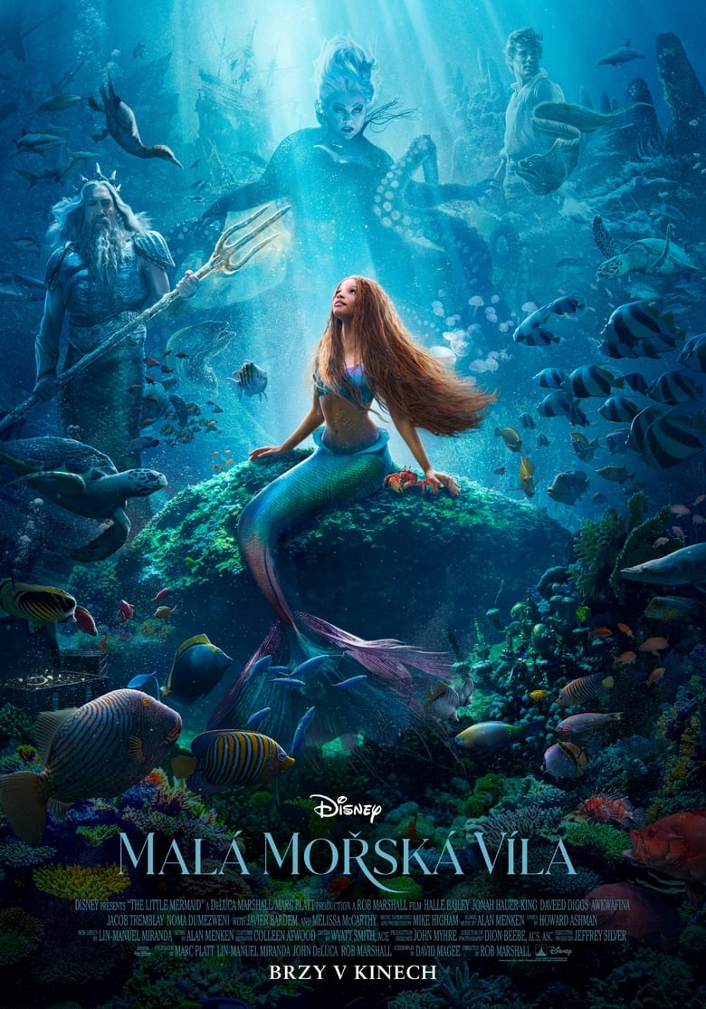 plakát Film Malá mořská víla