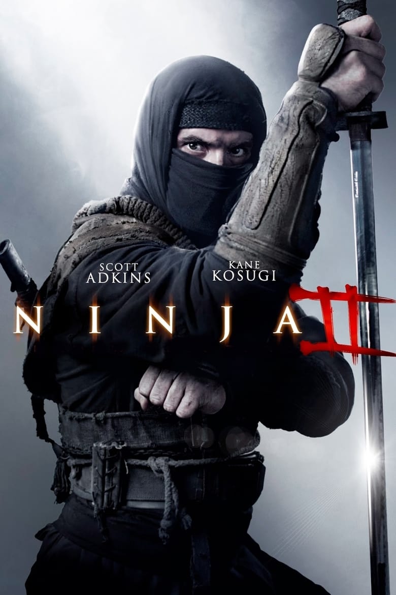 plakát Film Ninja 2: Pomsta