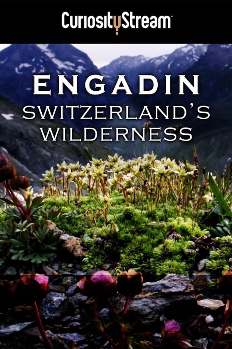 Plakát pro film “Engadin: Švýcarská divočina”