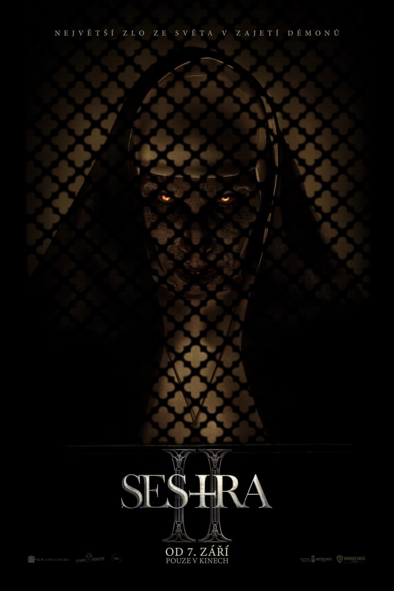 Plakát pro film “Sestra II”
