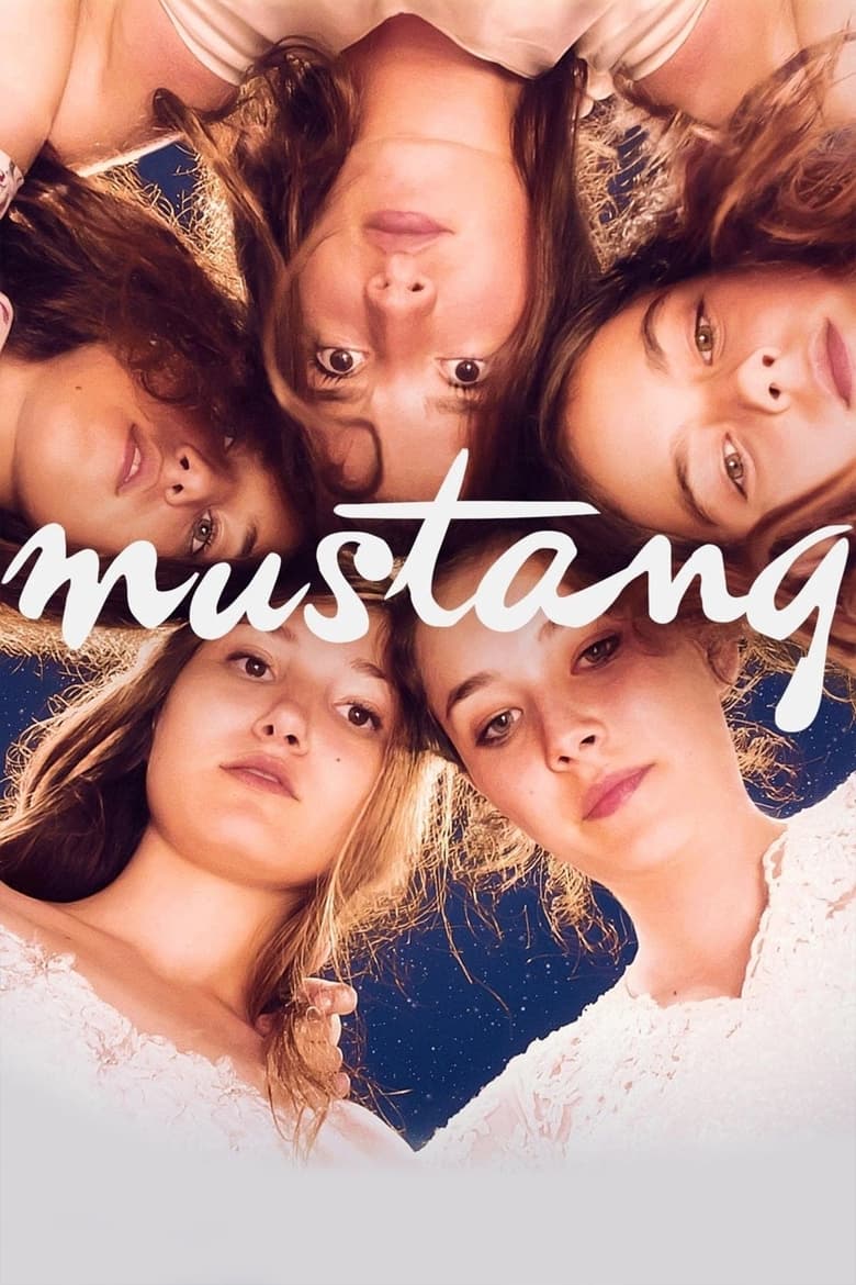 Plakát pro film “Mustang”