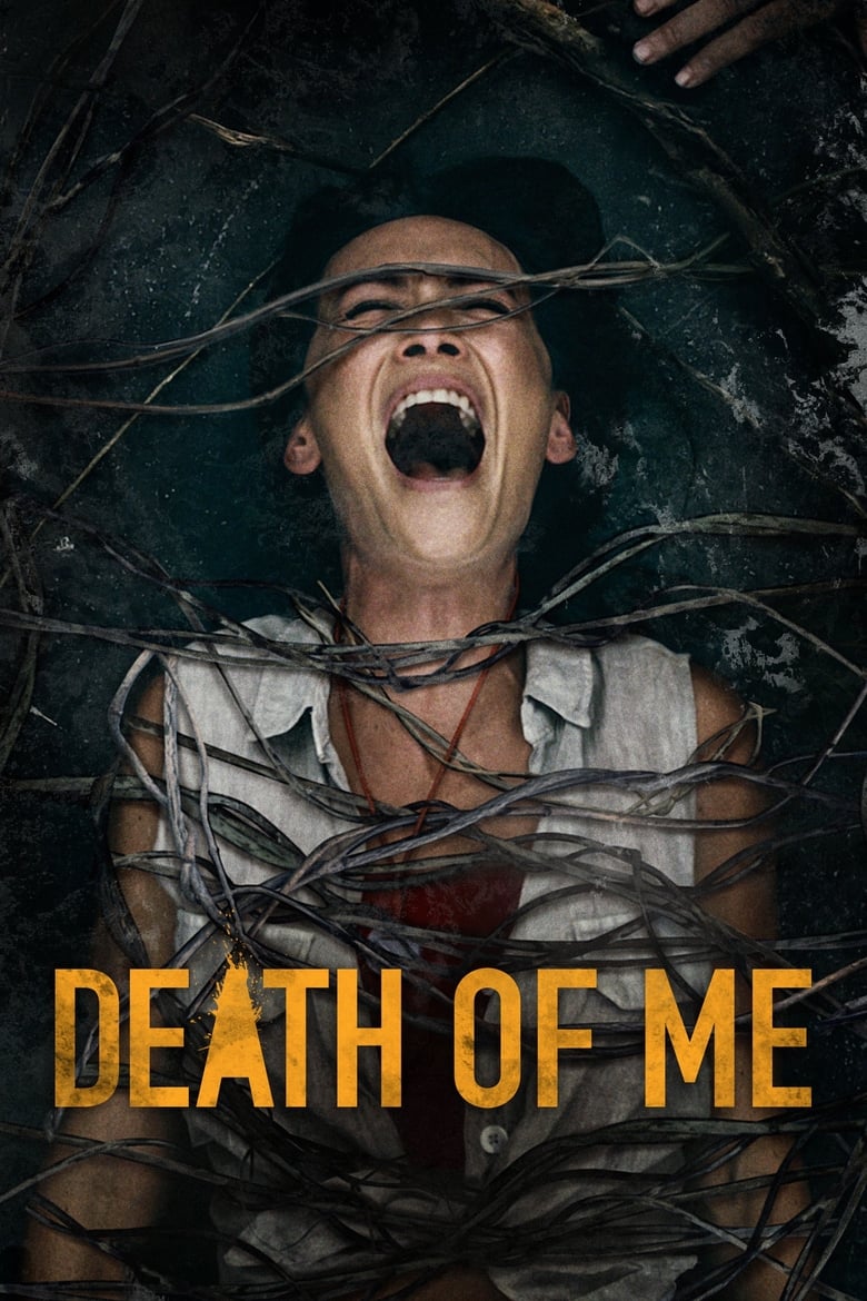 Plakát pro film “Death of Me”