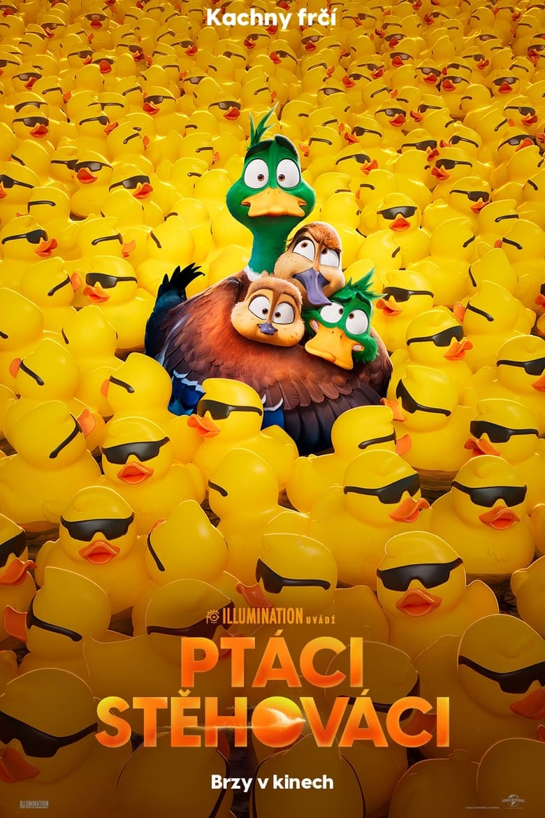 Plakát pro film “Ptáci stěhováci”