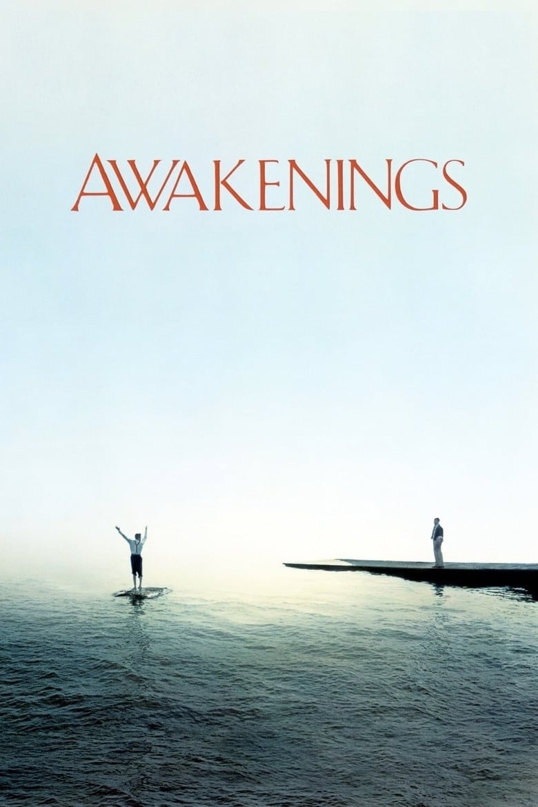 Plakát pro film “Čas probuzení”