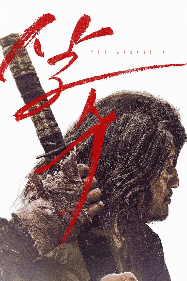 Plakát pro film “The Assassin”