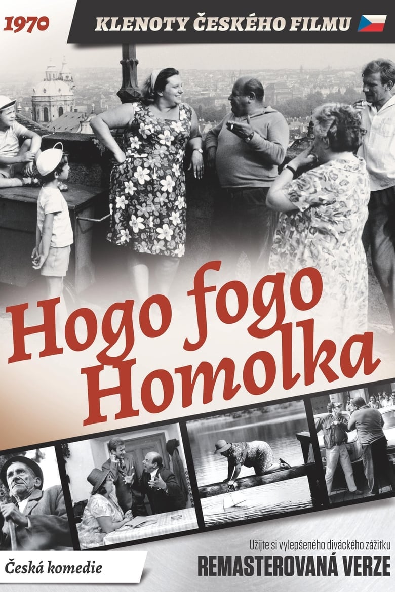 Plakát pro film “Hogo fogo Homolka”