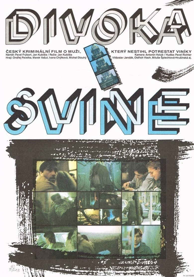 Plakát pro film “Divoká svině”