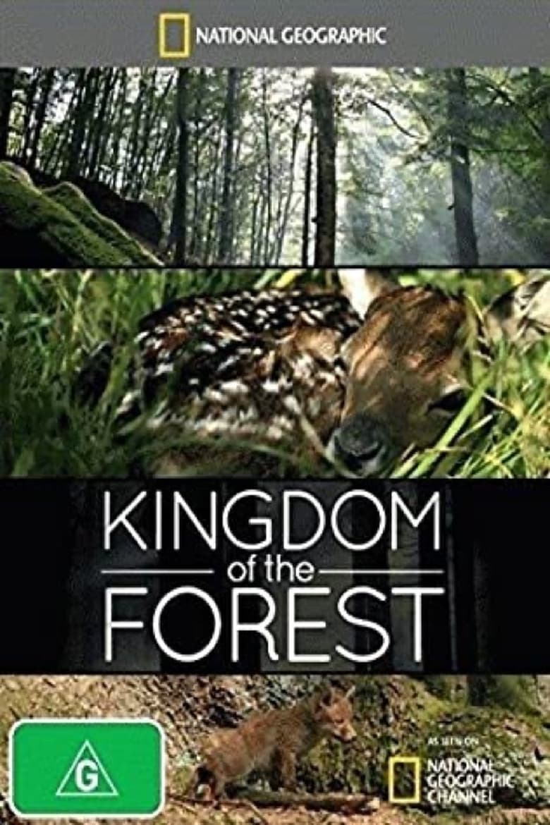 Plakát pro film “Království lesa”