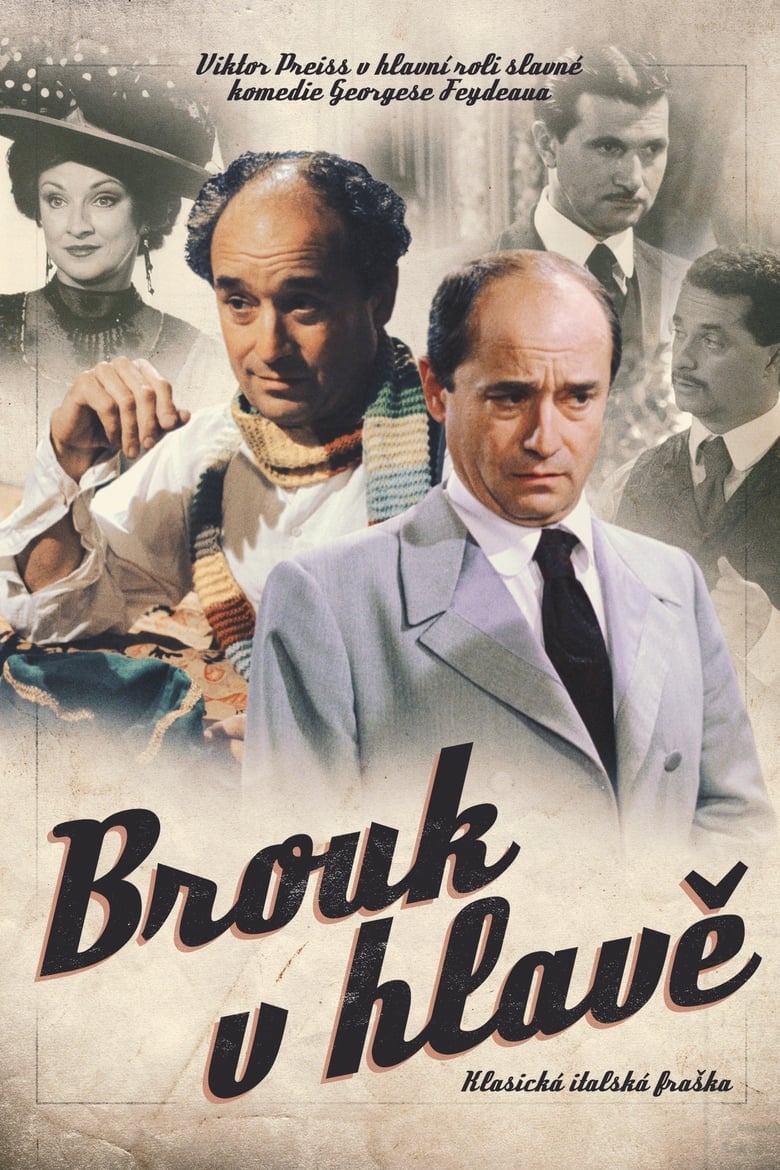 Plakát pro film “Brouk v hlavě”