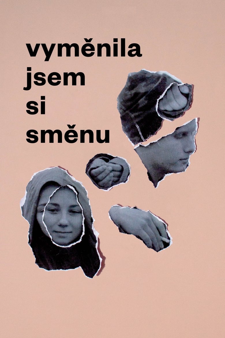 Plakát pro film “Vyměnila jsem si směnu”