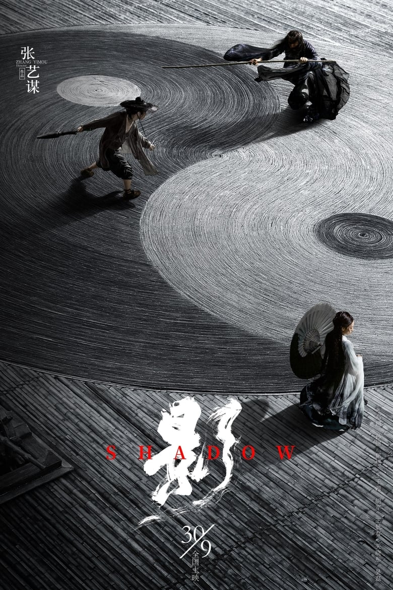 Plakát pro film “Stín”