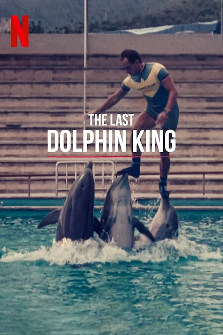 plakát Film Konec krále delfínů