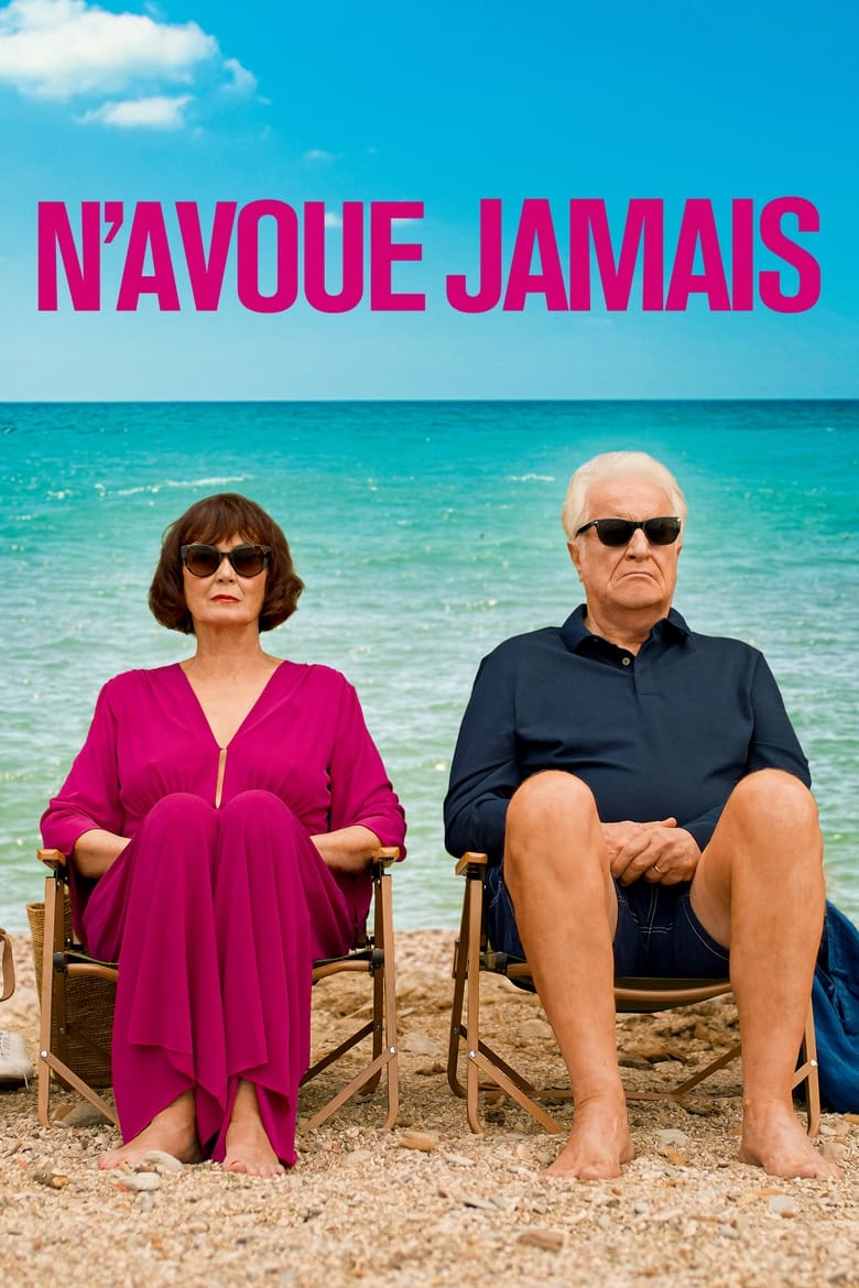 Plakát pro film “N’avoue jamais”