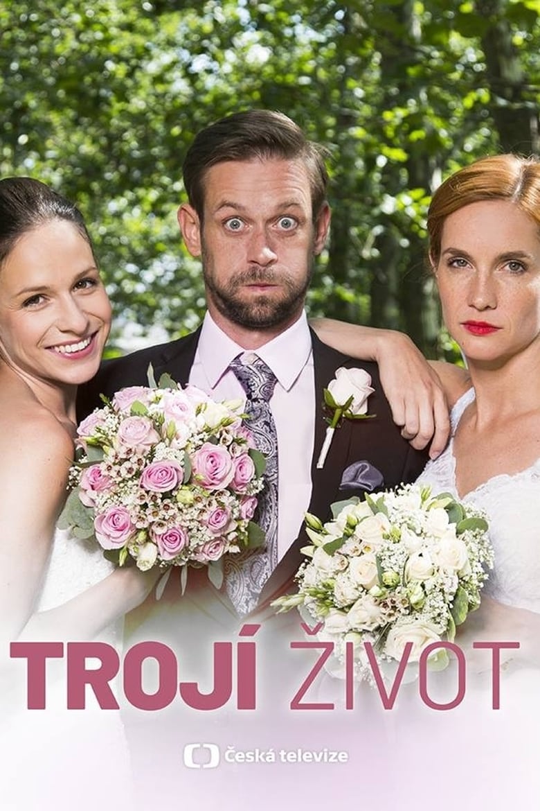 Plakát pro film “Trojí život”