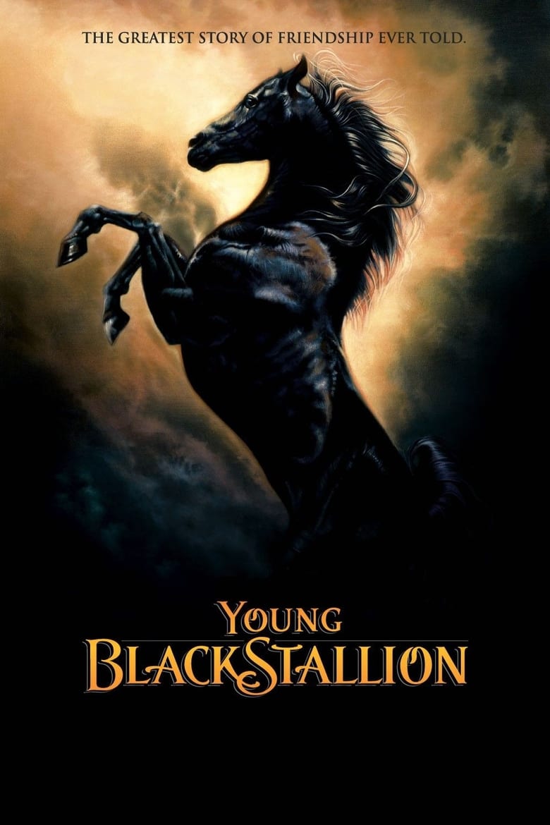 Plakát pro film “Mladý černý hřebec”