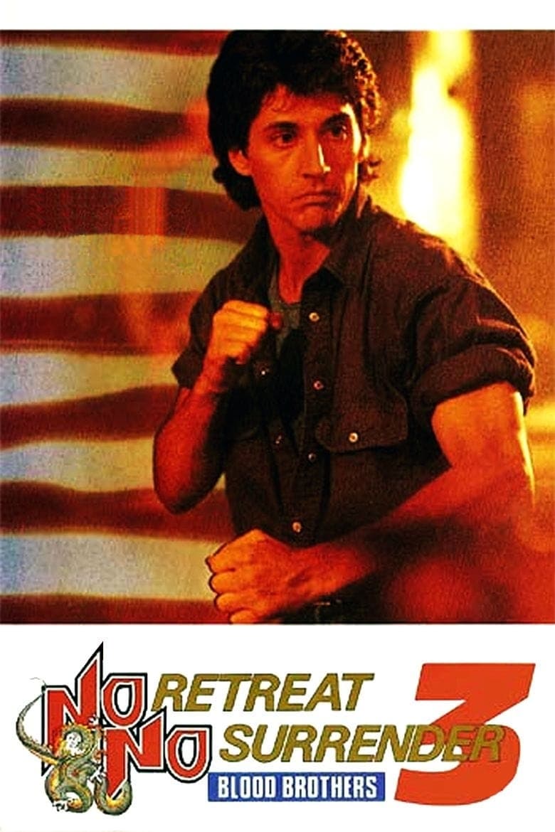 Plakát pro film “Karate tiger 3: Pokrevní bratři”