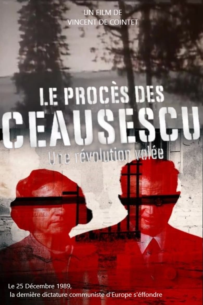 Plakát pro film “Ceaușescu před soudem”