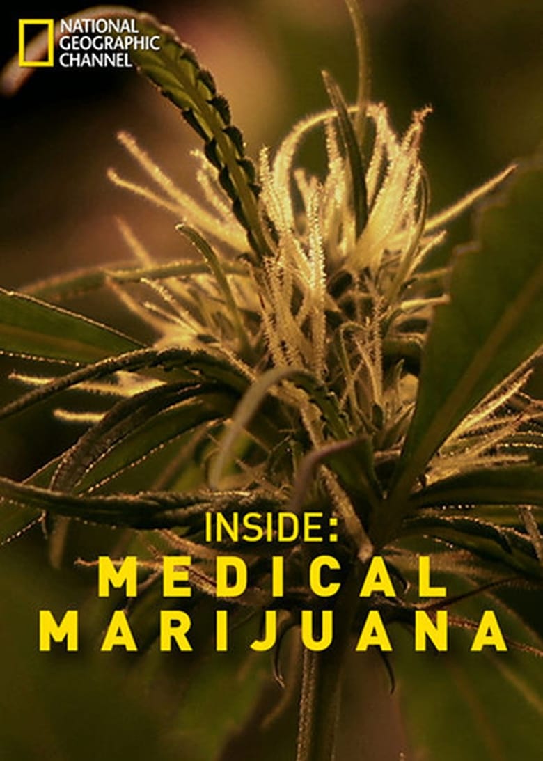 Plakát pro film “Pohled zevnitř: Léčivé vlastnosti marihuany”