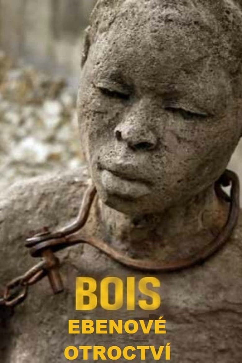 Plakát pro film “Ebenové otroctví”