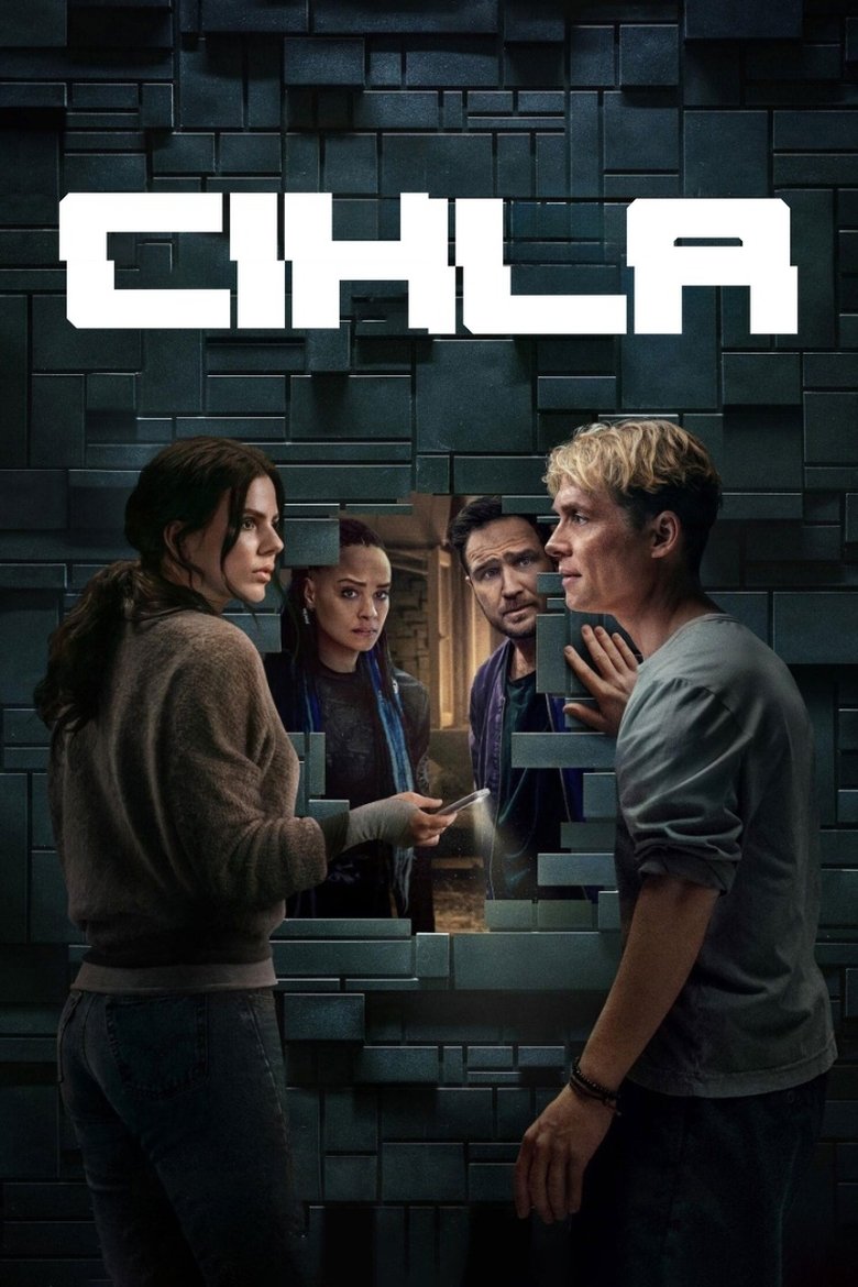 Plakát pro film “Cihla”