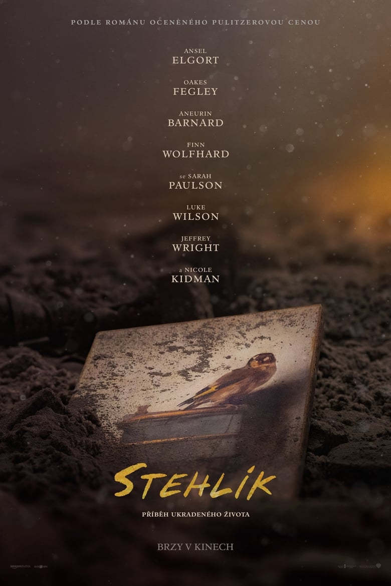 Plakát pro film “Stehlík”