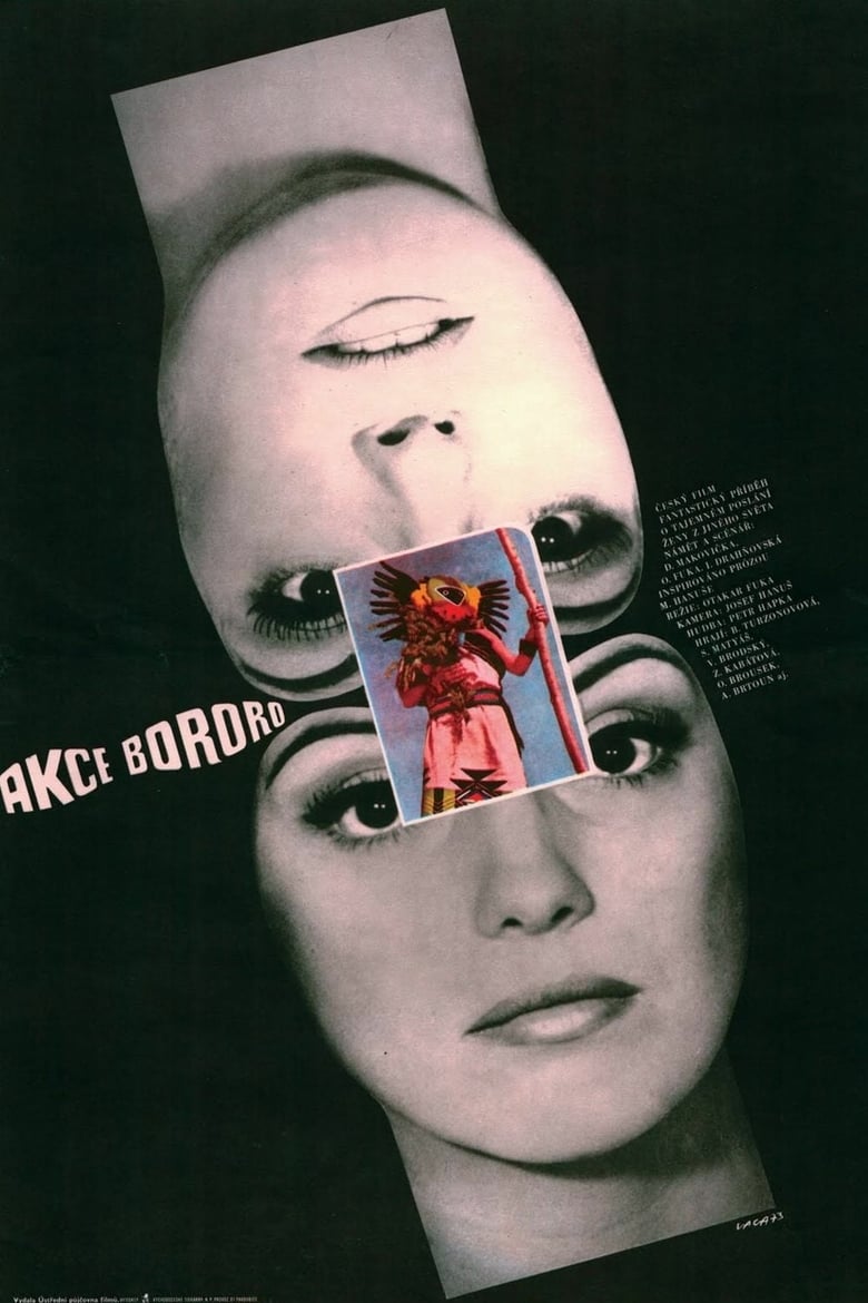 Plakát pro film “Akce Bororo”