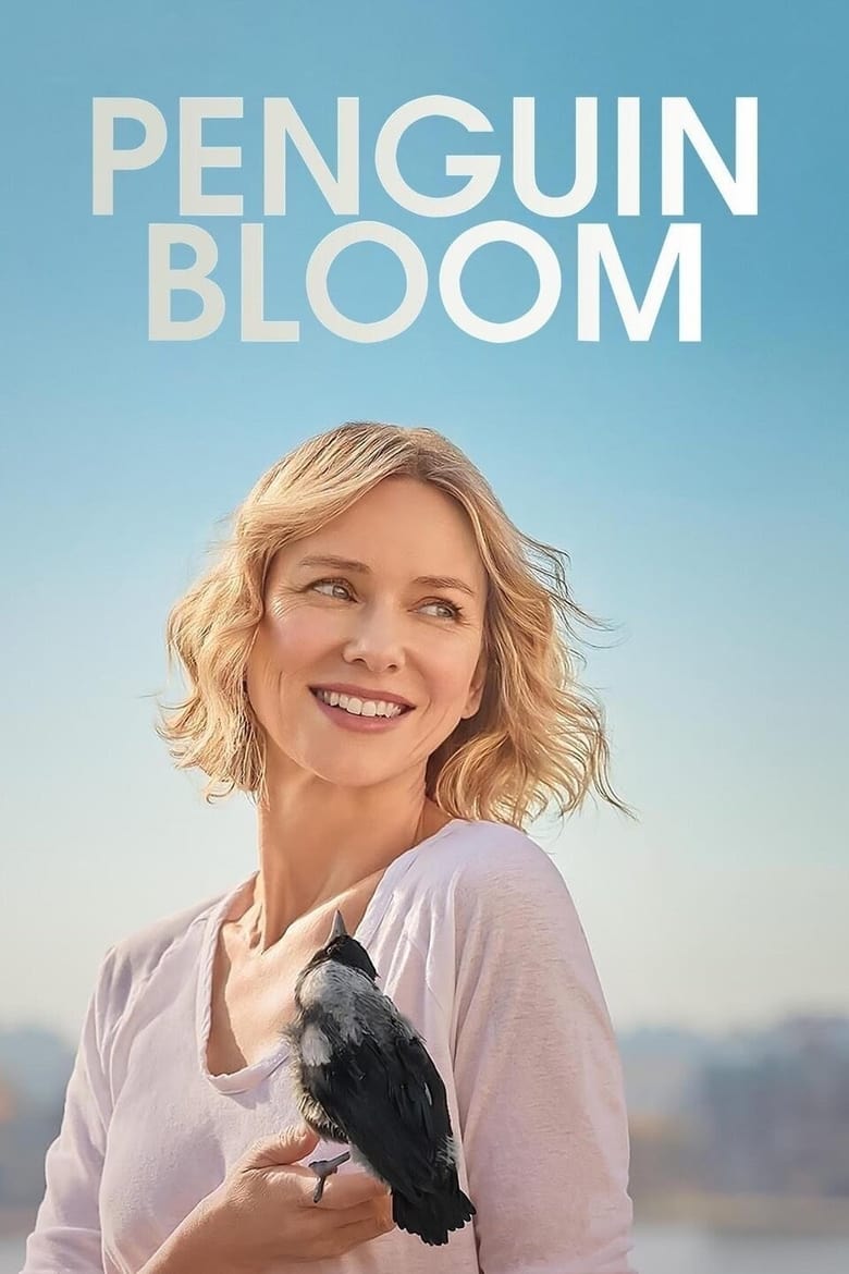 Plakát pro film “Tučňák Bloom”