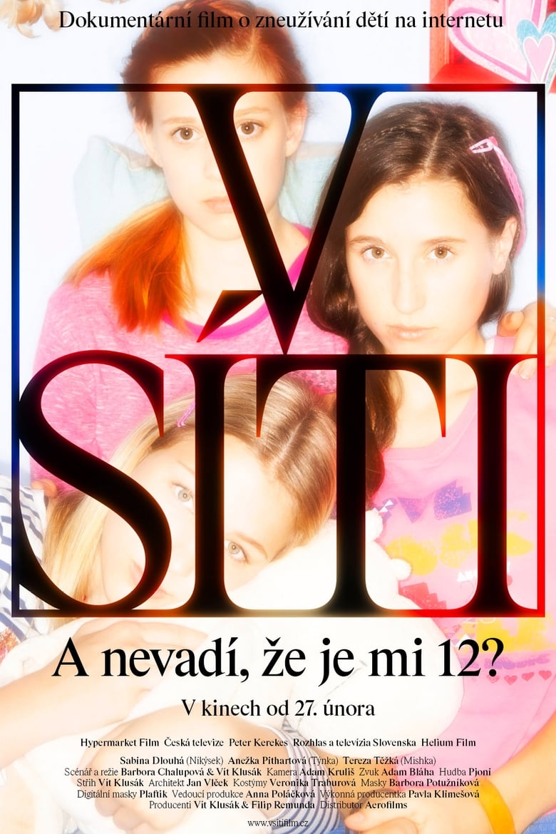 Plakát pro film “V síti”