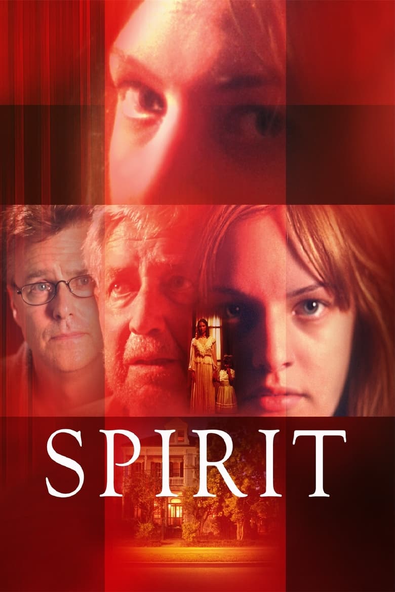 Plakát pro film “Spirit”