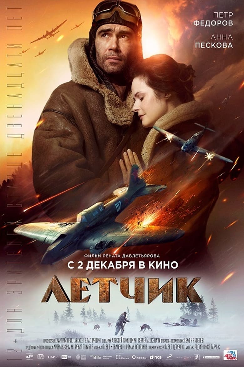 Plakát pro film “Pilot: boj o přežití”