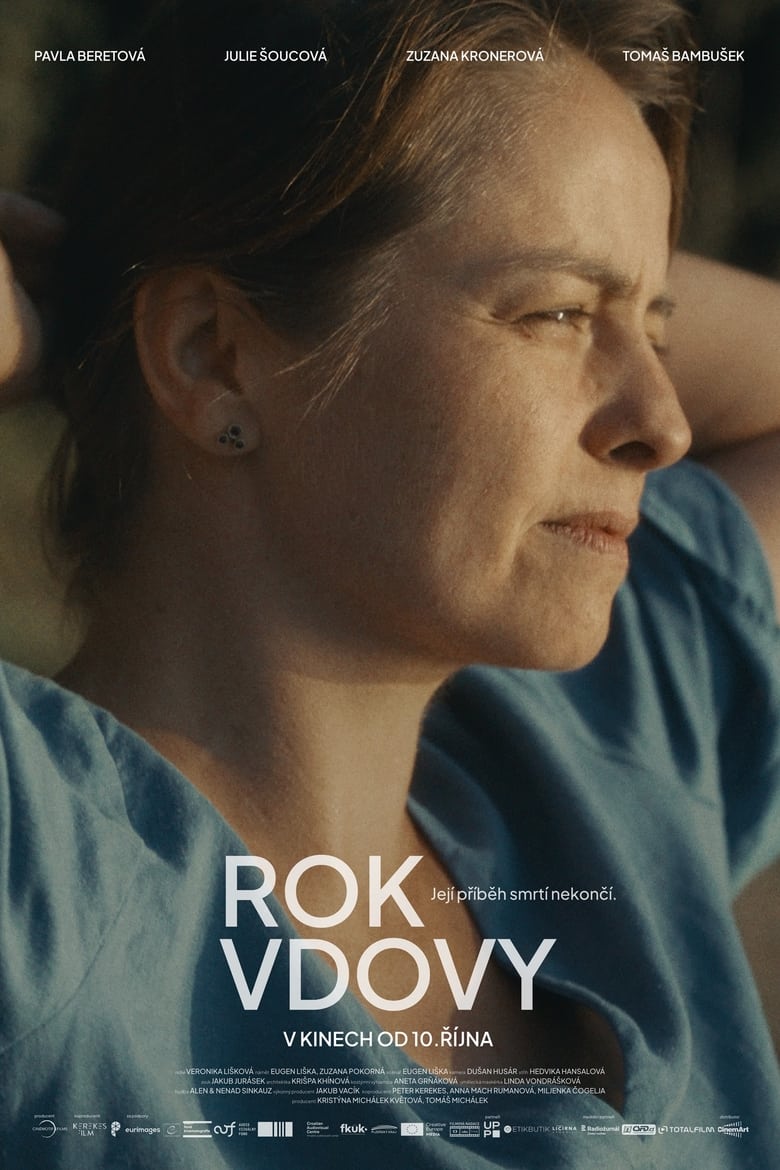 Plakát pro film “Rok vdovy”