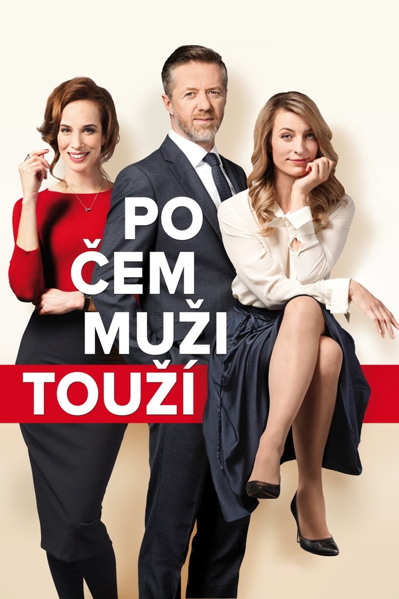 Plakát pro film “Po čem muži touží”