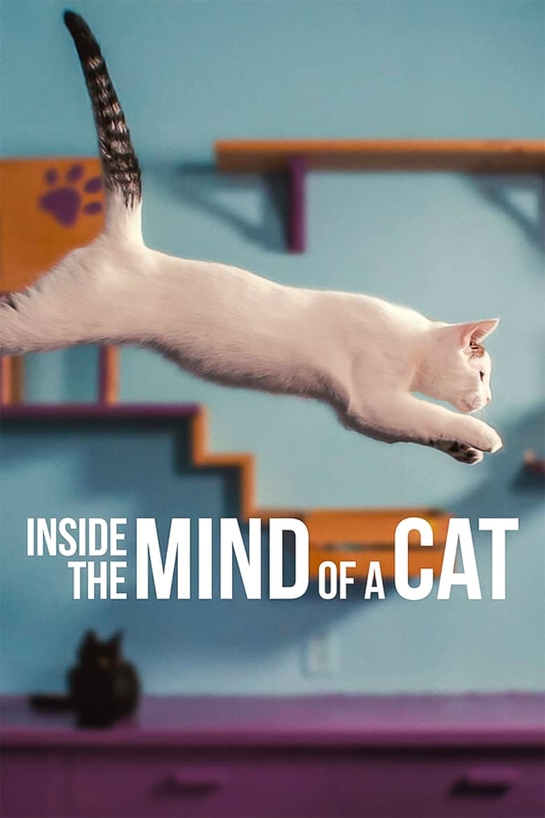 Plakát pro film “Co se kočce honí hlavou”