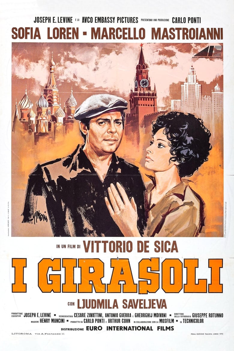 plakát Film Slunečnice