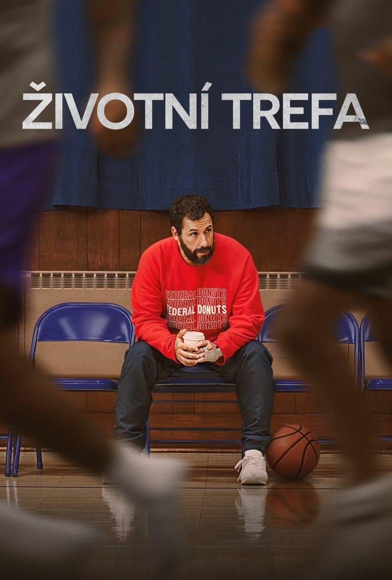 Plakát pro film “Životní trefa”