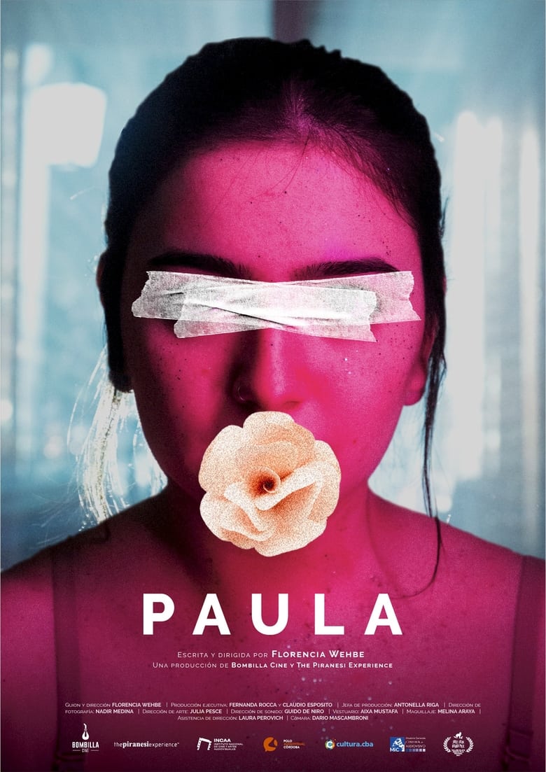 Plakát pro film “Paula”