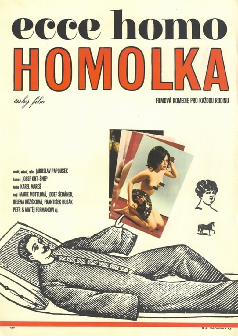 Plakát pro film “Ecce homo Homolka”