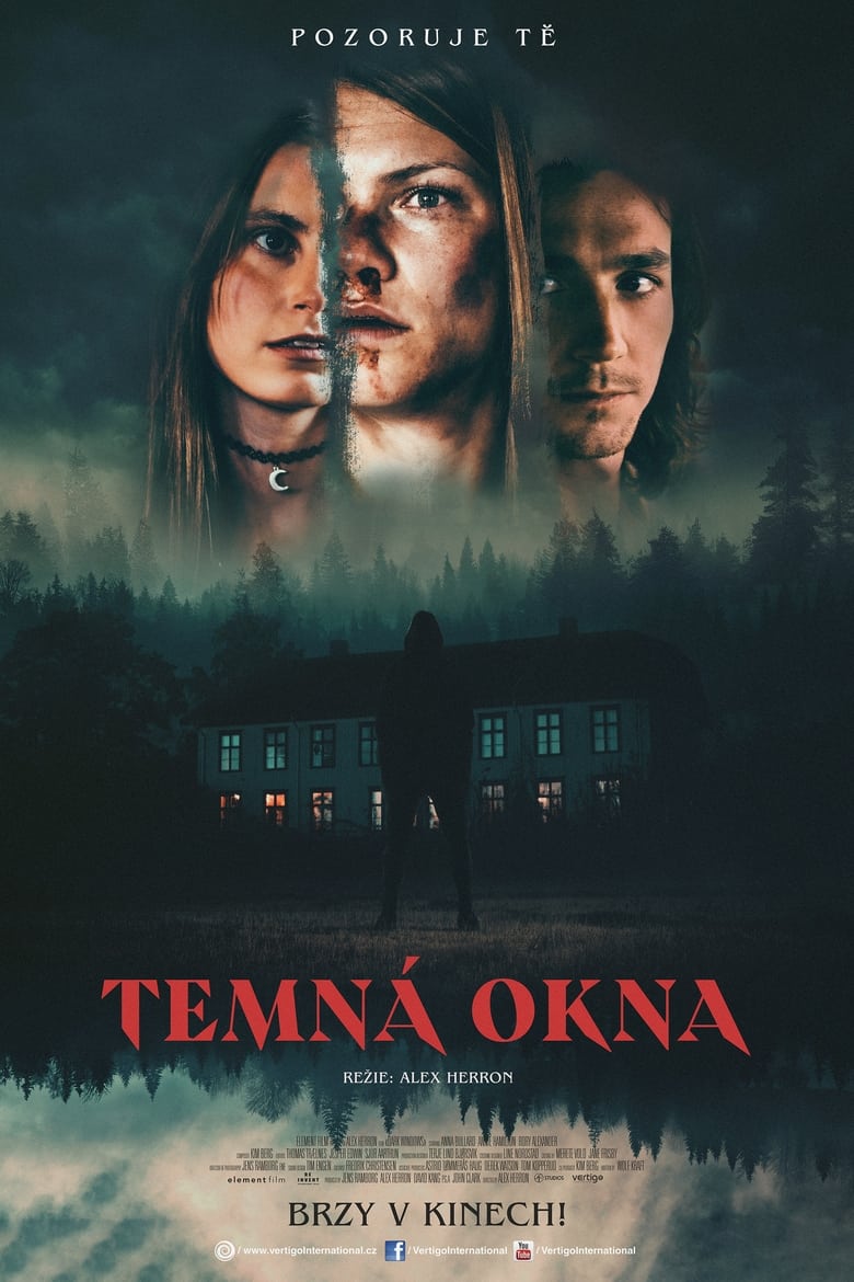 Plakát pro film “Temná okna”