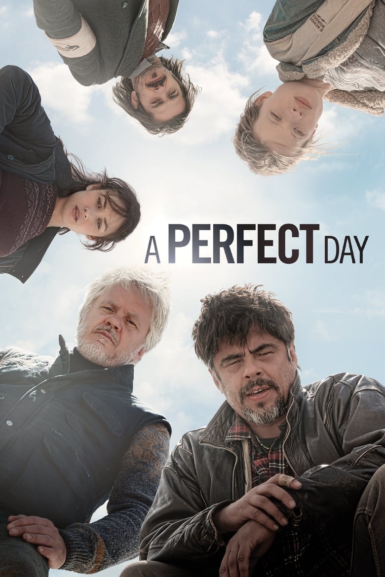 Plakát pro film “Perfektní den”