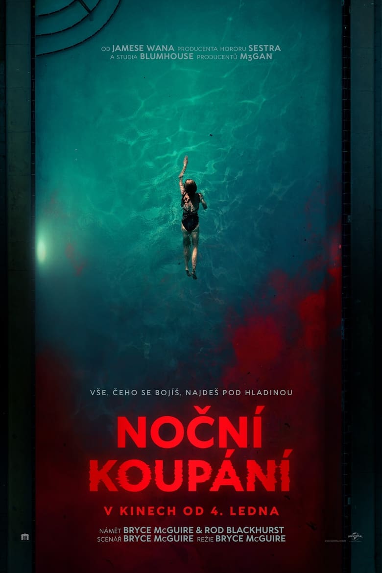 Plakát pro film “Noční koupání”