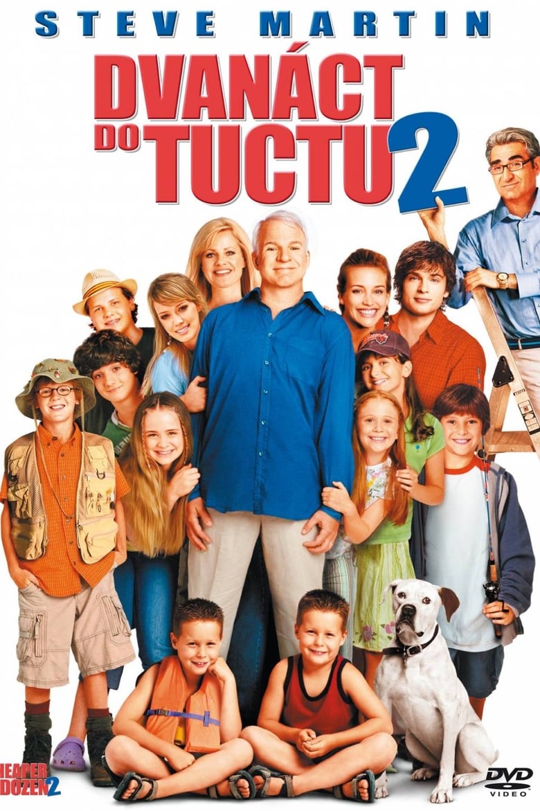 Plakát pro film “Dvanáct do tuctu 2”