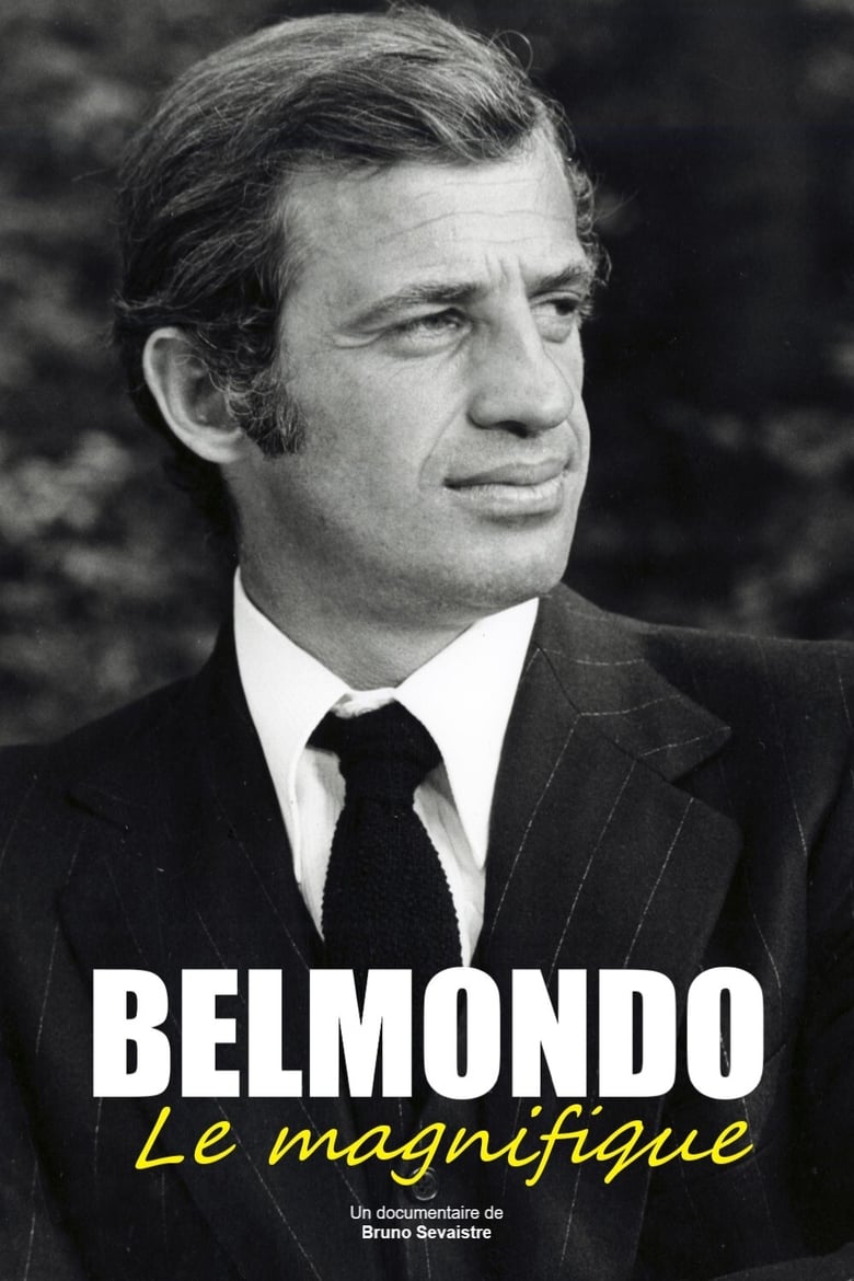 plakát Film Úžasný pan Belmondo