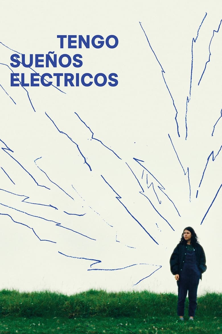 Plakát pro film “Mám elektrické sny”
