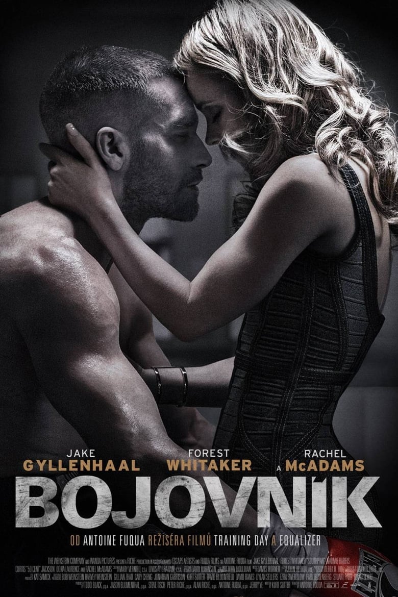 Plakát pro film “Bojovník”