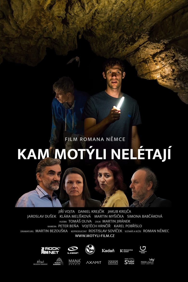 Plakát pro film “Kam motýli nelétají”