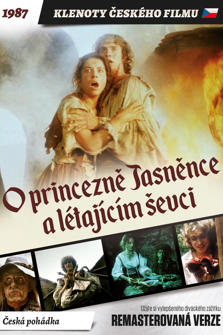 Obálka Film O princezně Jasněnce a létajícím ševci