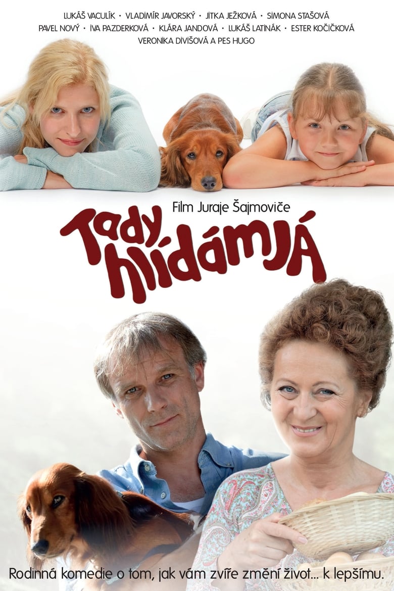 Plakát pro film “Tady hlídám já”