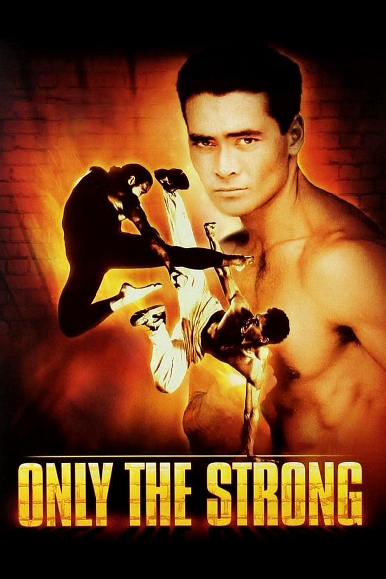 Plakát pro film “Mistr neznámého boje”